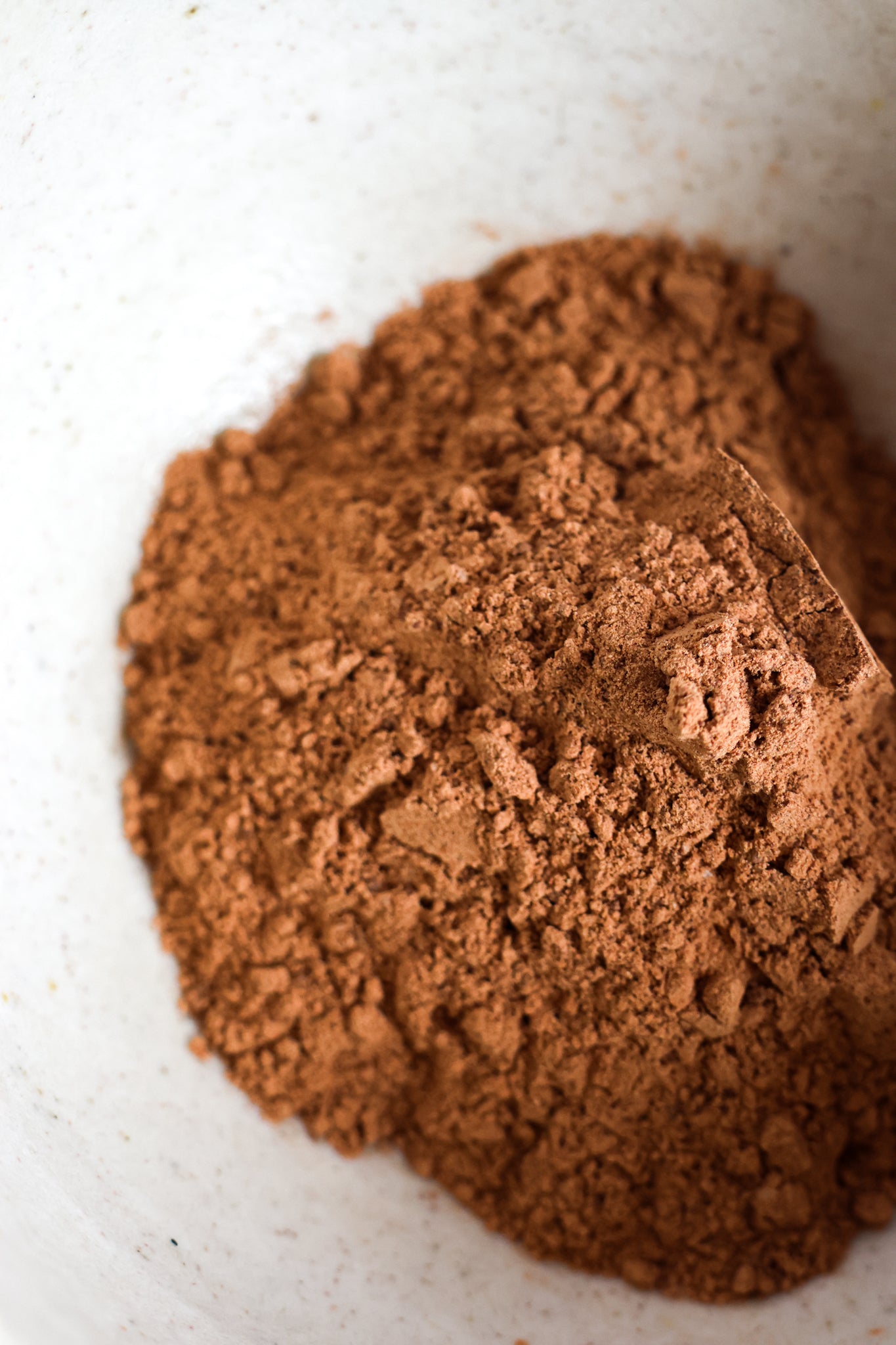Cacao Junior