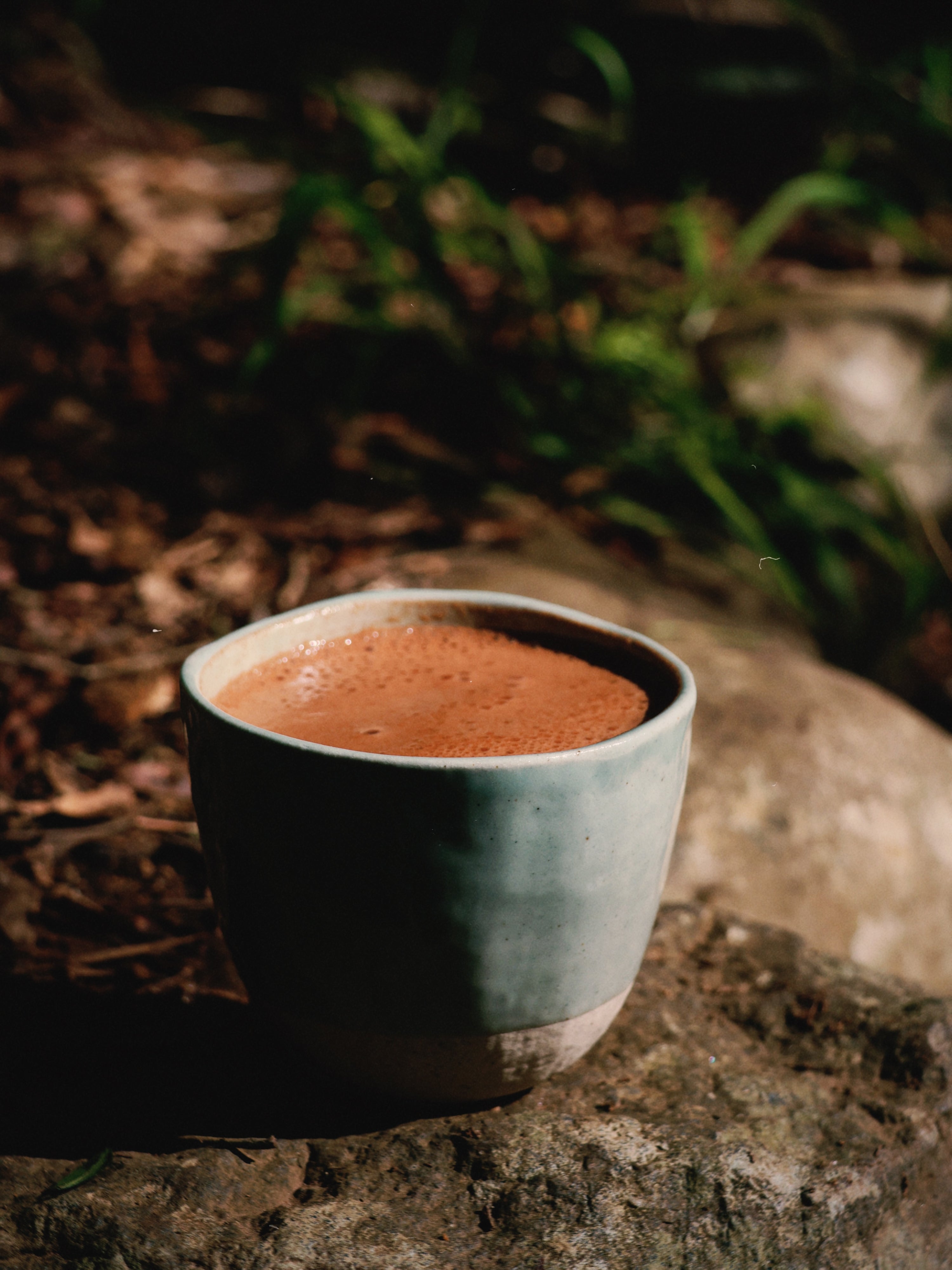 Cacao Bloom